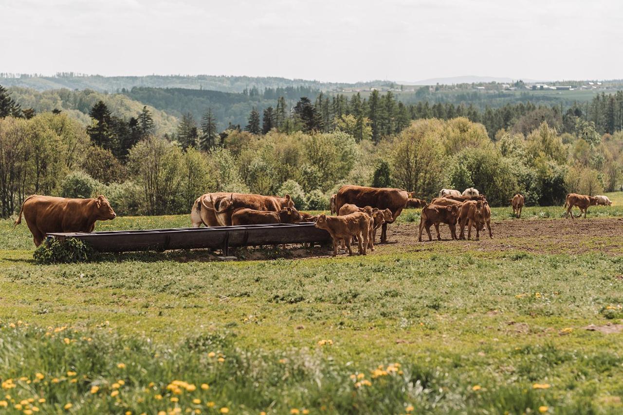 Farma Klokocov Vila Vitkov Exterior foto